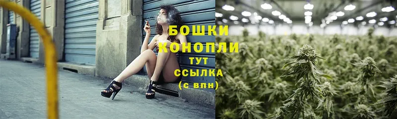 Бошки Шишки THC 21%  Лыткарино 